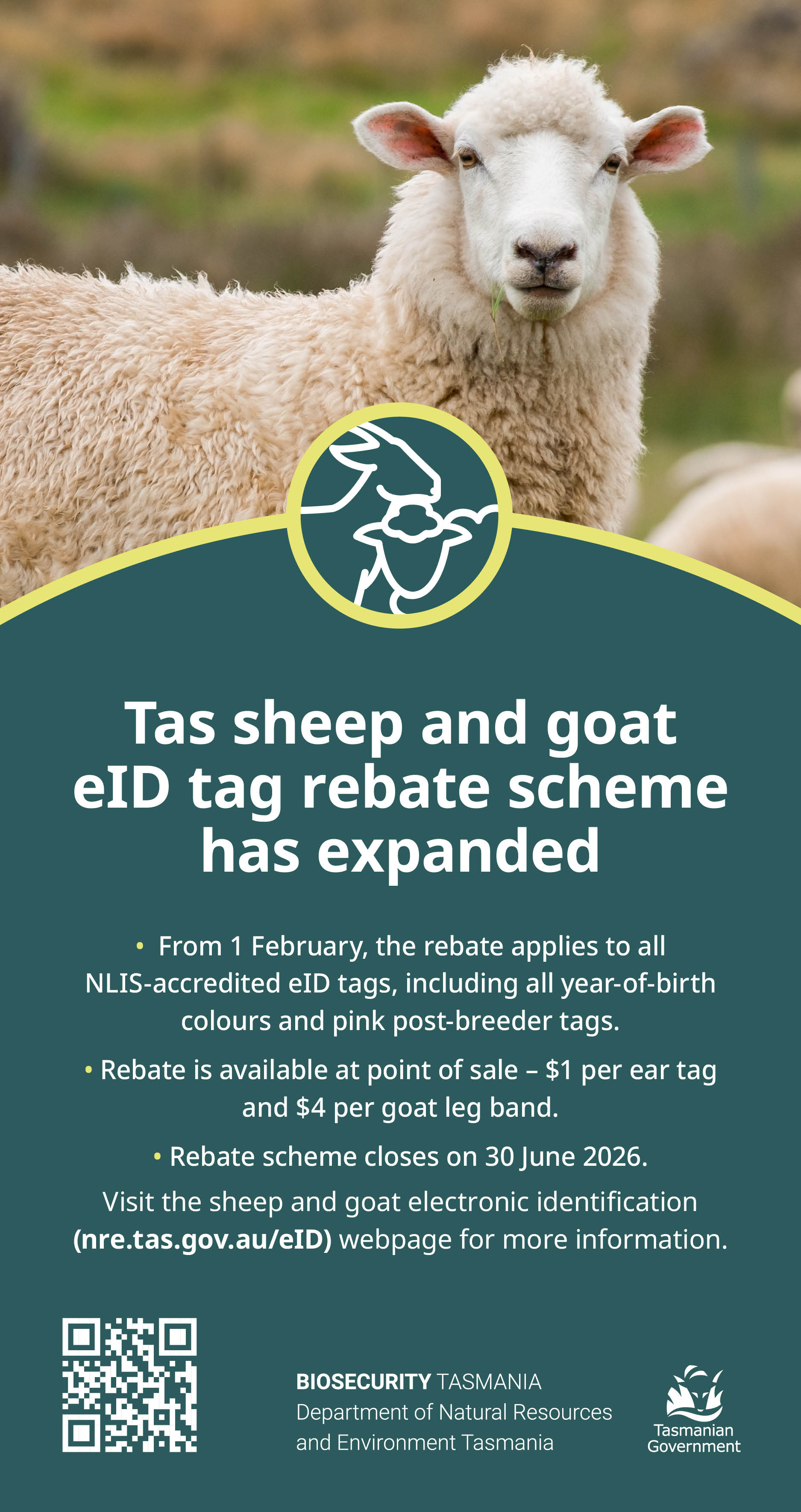 Tas sheep and goat eID tag rebate scheme has expanded