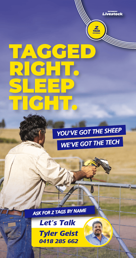 Datamars Z Tags