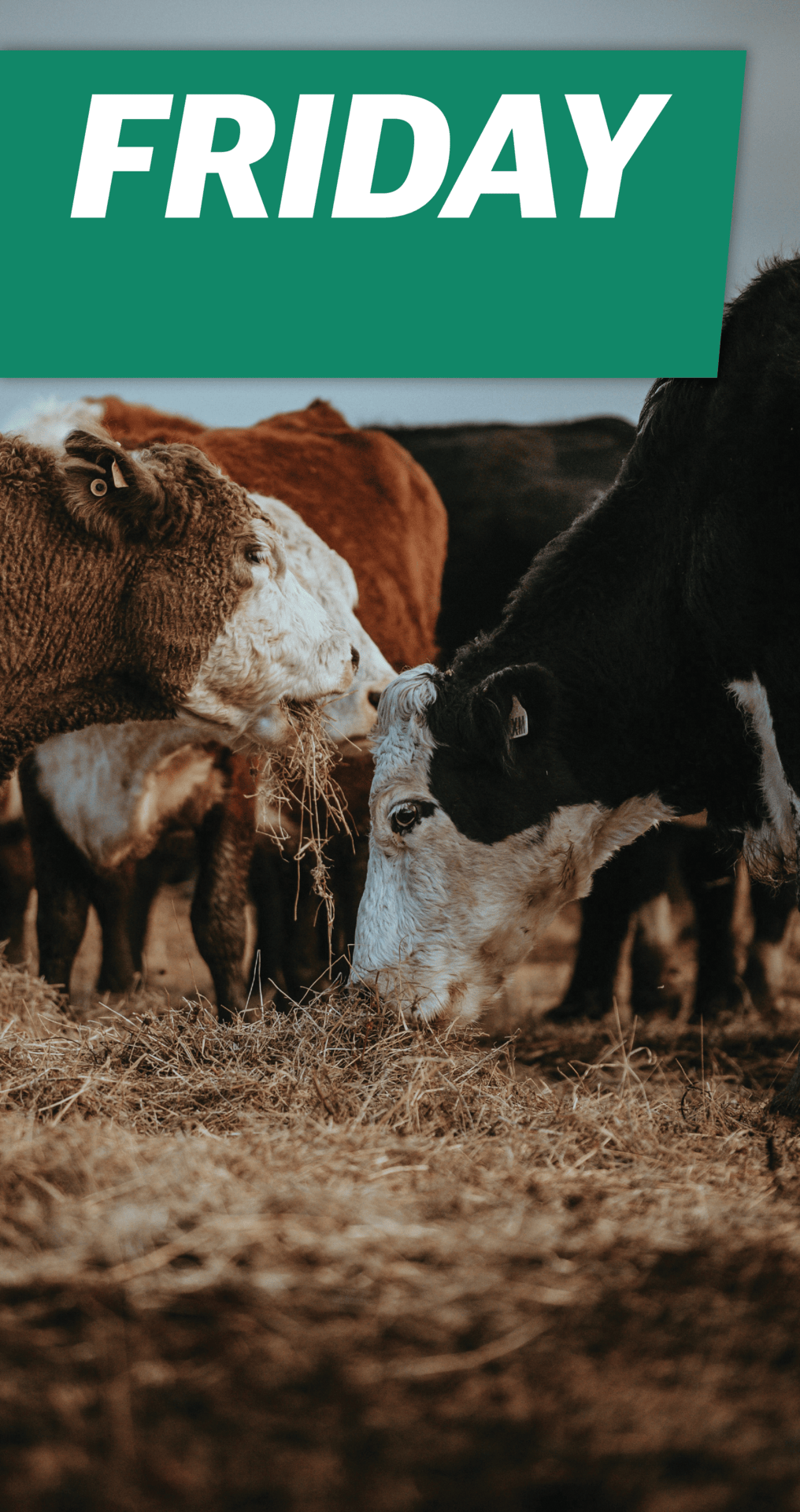 Friday Salesfeed: Every sale, every week