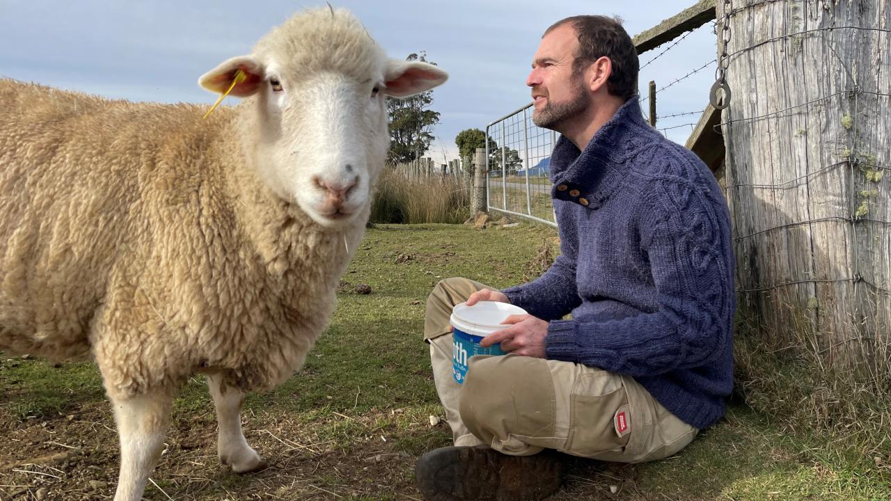 One of Gaunts Farm’s present custodians Adrian Beswick reflects on the future while feeding the sheep. One of Gaunts Farm’s present custodians Adrian Beswick reflects on the future while feeding the sheep