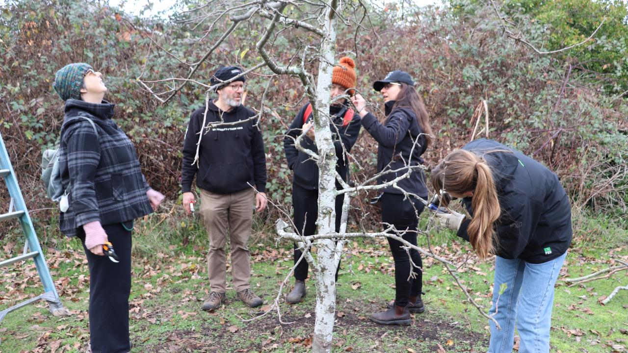 UTAS community garden coordinator Jeff McClintock and TIA tree crop physiologist Leticia Reis with workshop participants in the Newnham Campus 50 Trees Heritage Orchard.