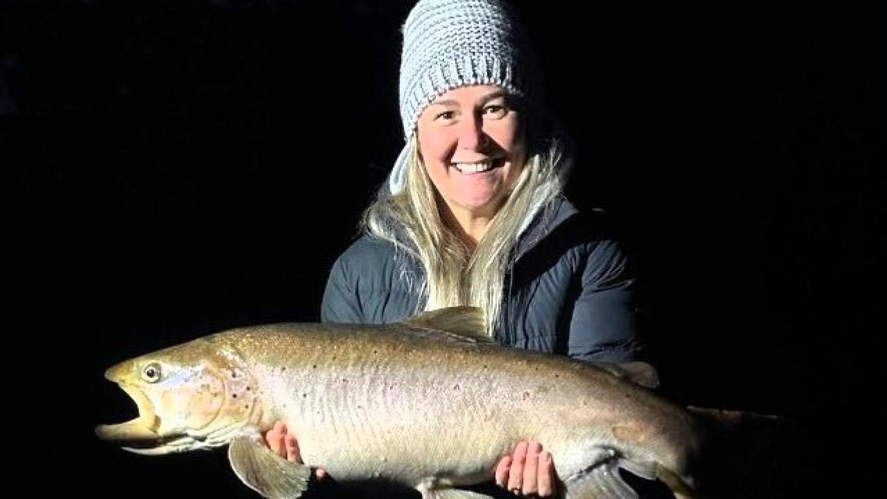 Tammy Darwin with the monster female brown trout she caught from the Huon River last weekend Tammy Darwin with the monster female brown trout she caught from the Huon River last weekend