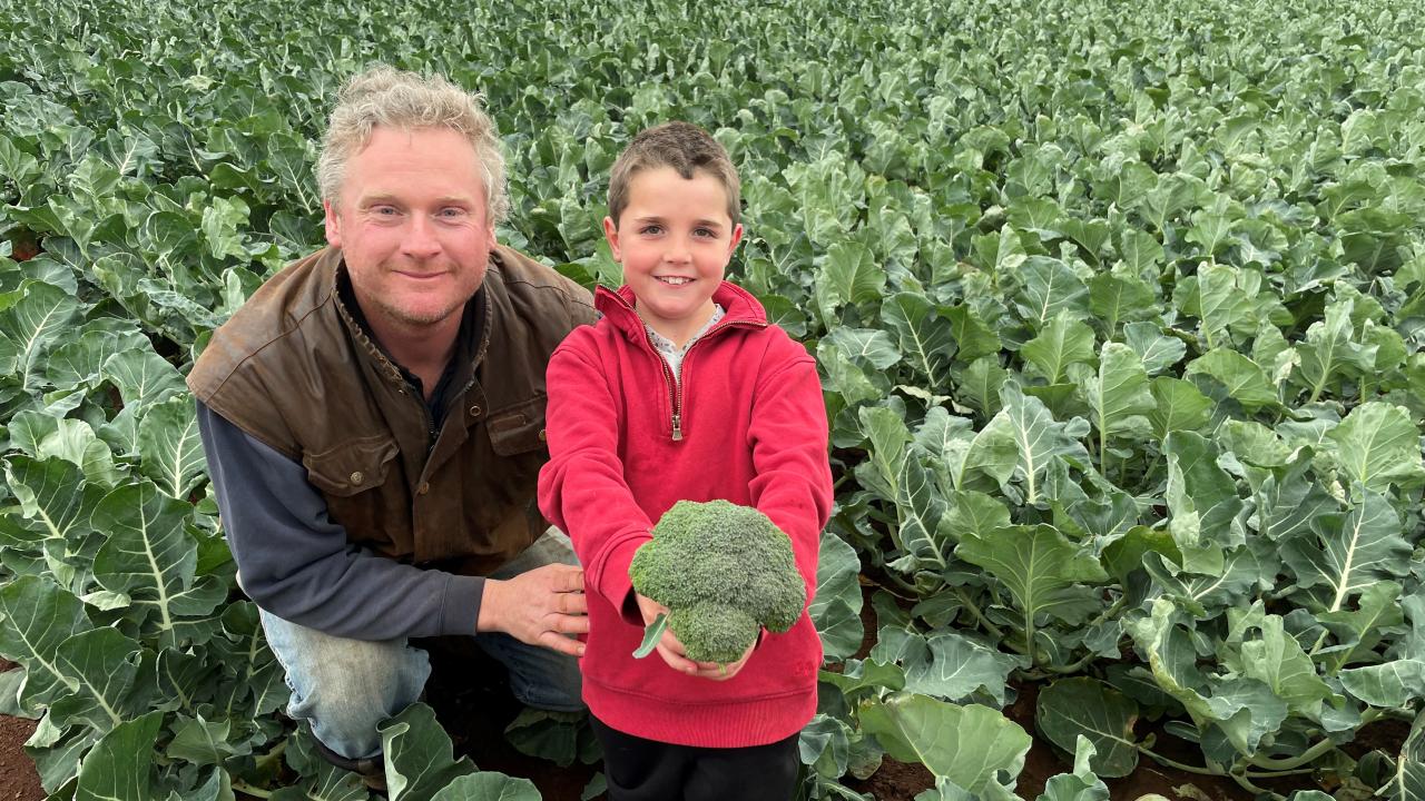 Randal Parker and his son Jacob in a crop of broccoli grown at Don for Harvest Moon Randal Parker and his son Jacob in a crop of broccoli grown at Don for Harvest Moon