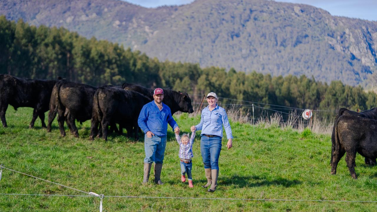 Michael and Sarah Mather with their daughter Poppy, 2, on their New River Angus stud at Ringarooma
