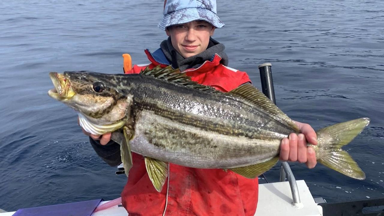 Mitchell Hall with a Striped Trumpeter he caught off the South Coast recently