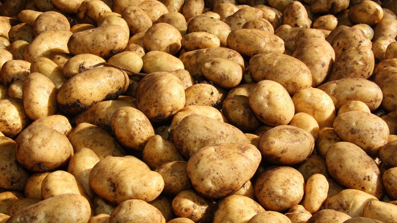 Potatoes