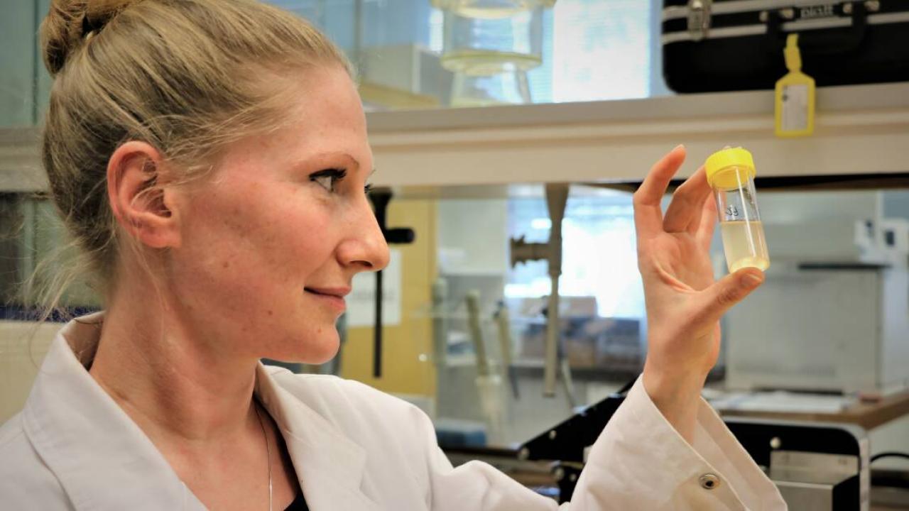 Dr Katharina Schmidt 