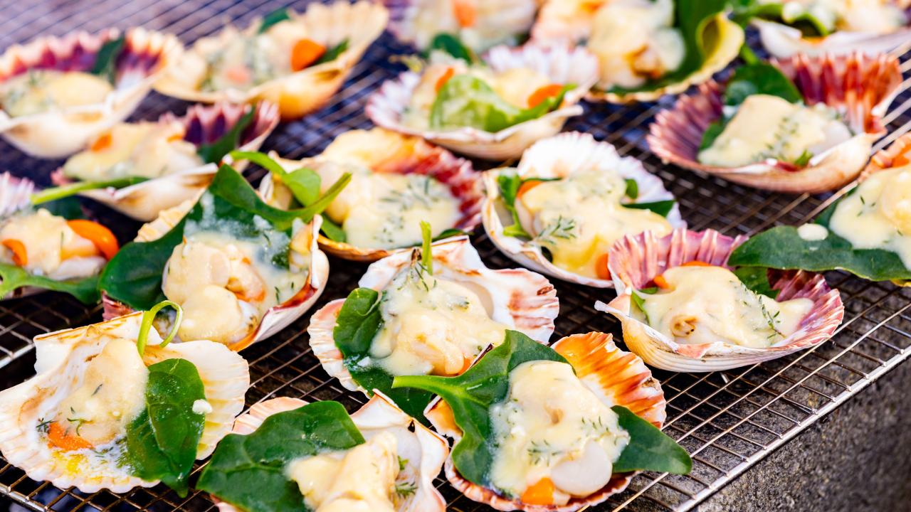 Spring Bay oysters