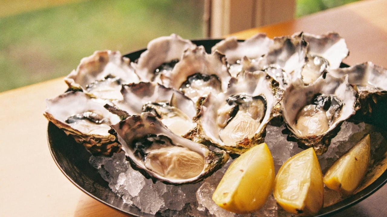 Oysters