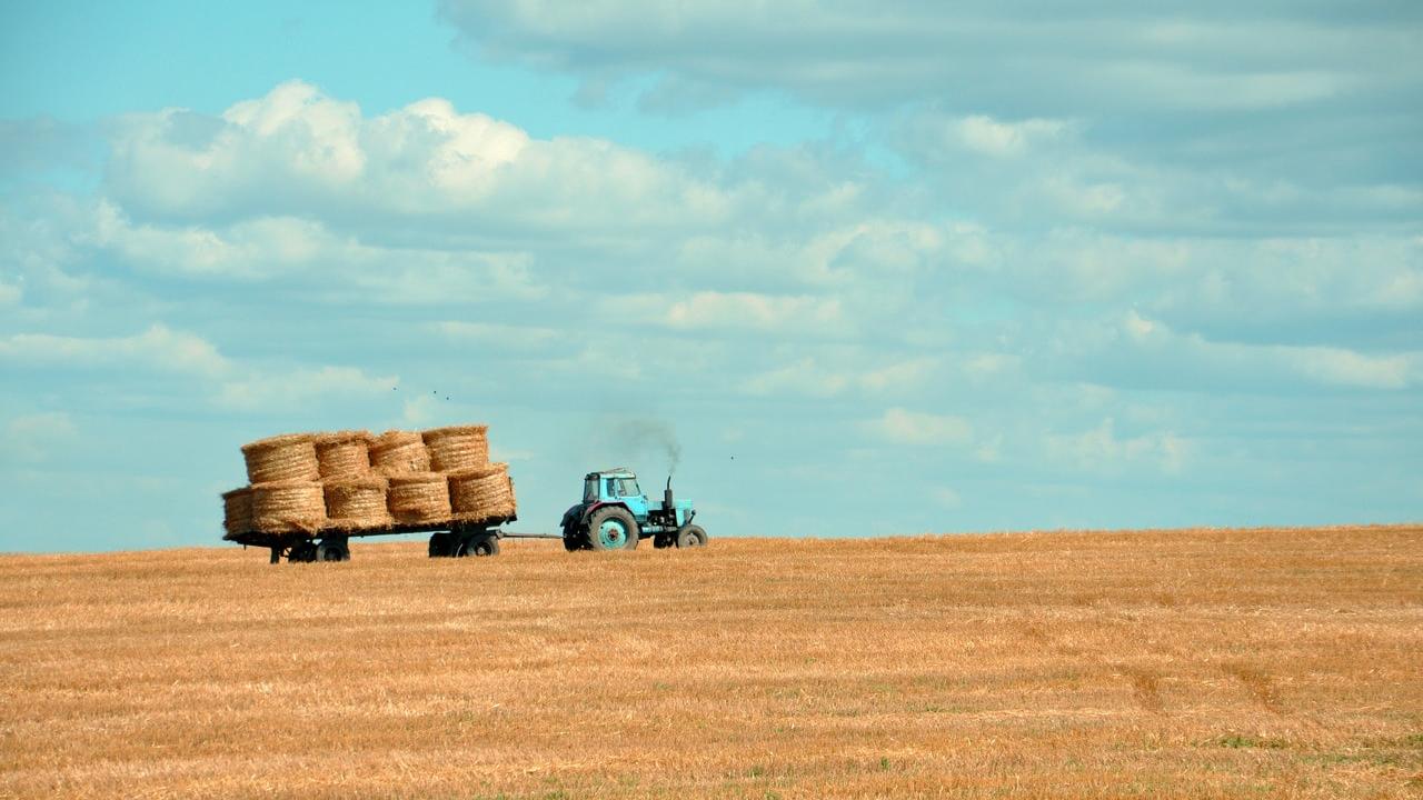Tractor carrying haybales