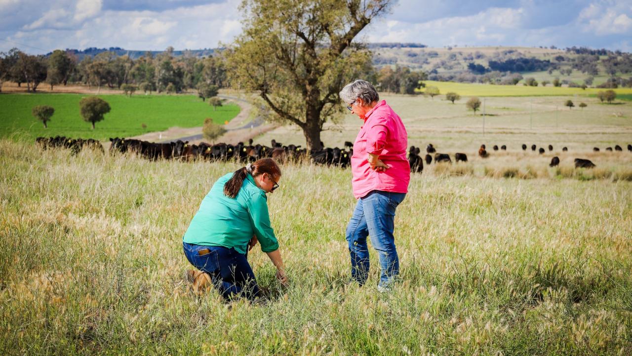 RaboBank's new report provides an overview of Tasmania's agricultural industry