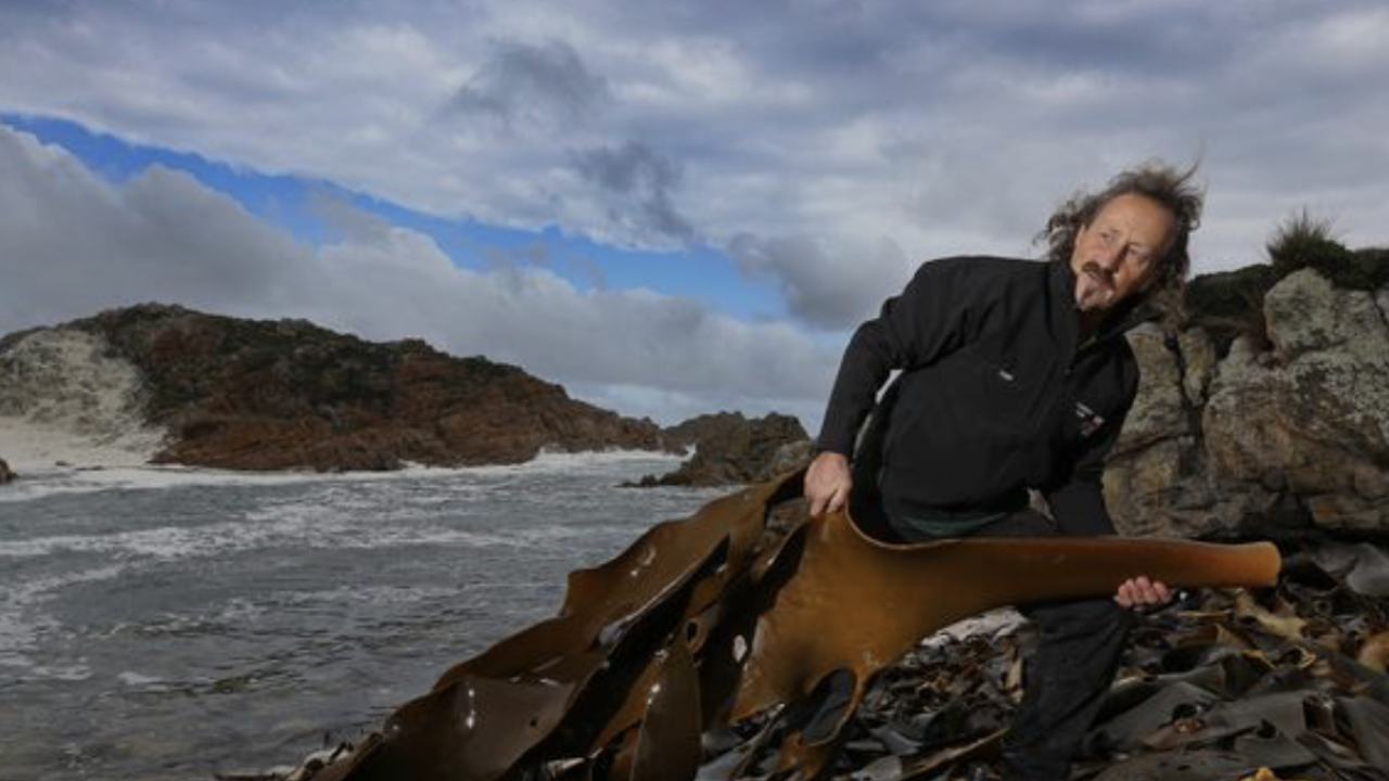 Tasmanian Seaweed Fertilisers founder Stafford Heres