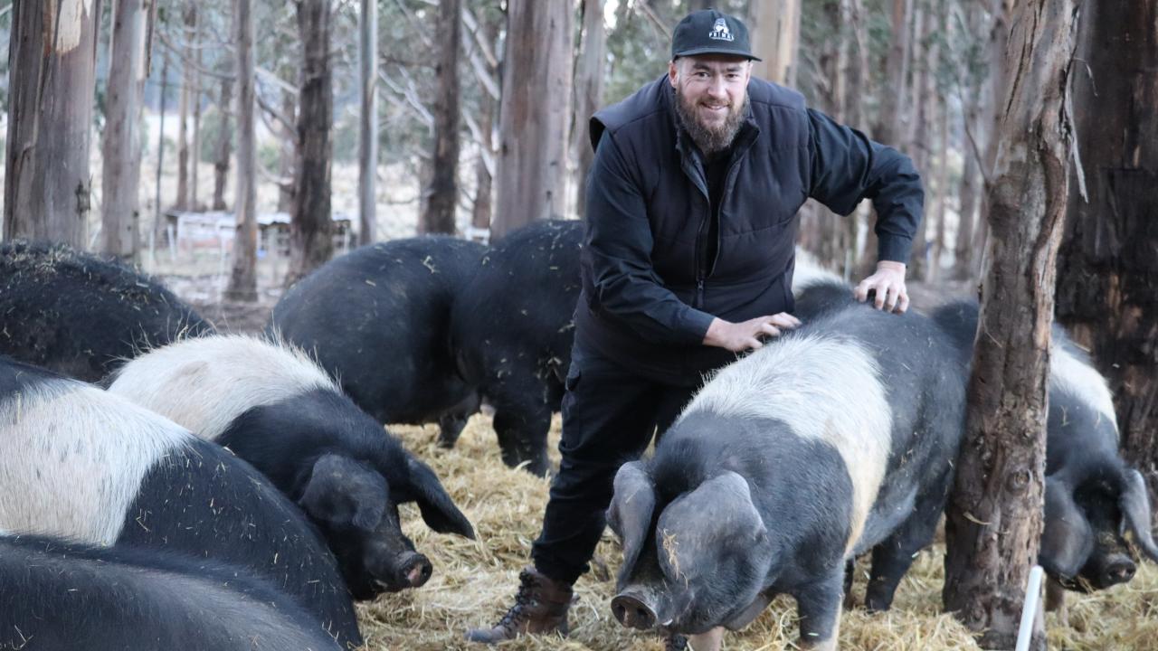 William Russell at Pig Creek Farm