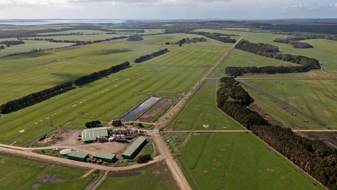 Harcus Dairy in Circular Head