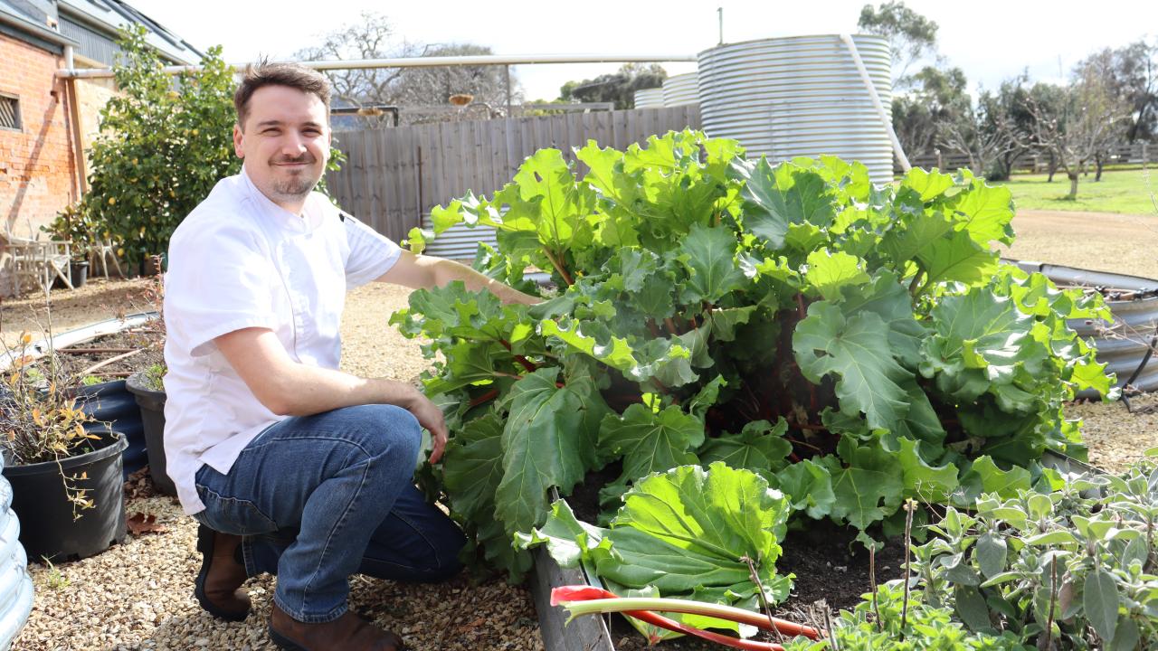 Buscombe's head chef James Miller picking some rhubarb