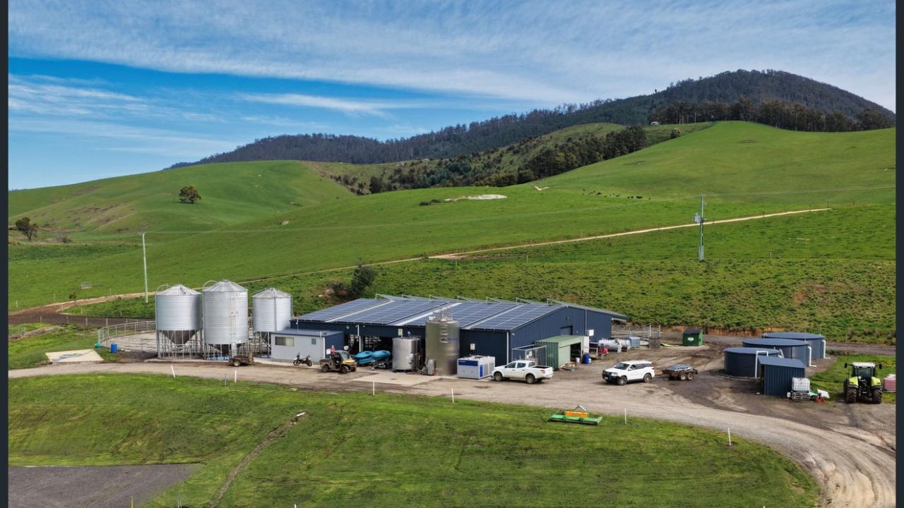 Blumont Dairy, which is one of the Tasmanian farms on the market Blumont Dairy, which is one of the Tasmanian farms on the market