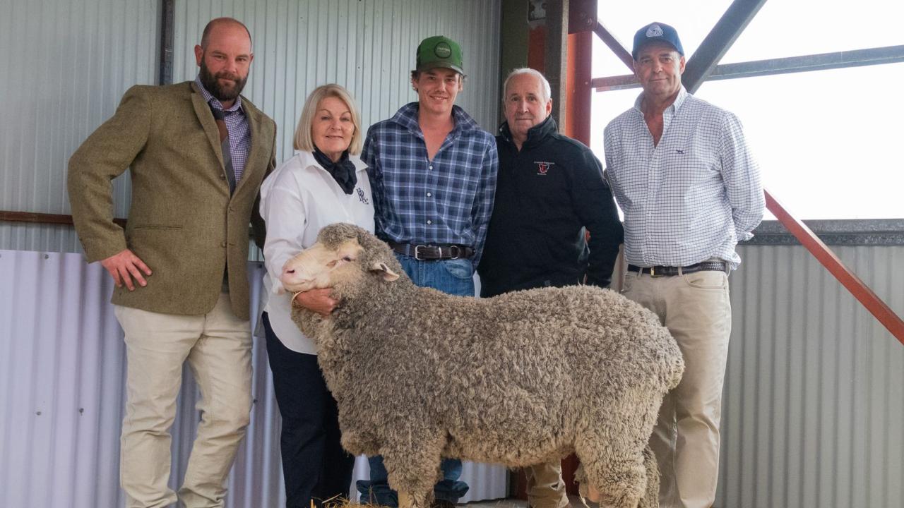 James Wicks of Livestock Consulting Tasmania,  Lucy Gray of Stockman Stud, Will Shoobridge of Cleveland  Pastoral Estate, Gordon Boon of Livestock Consulting Tasmania and Stockman stud manager and classer Kip Gray with the top-priced ram.