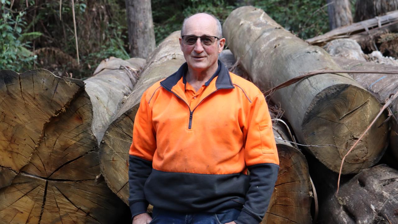 Semaphore Farm's Malcolm Larner