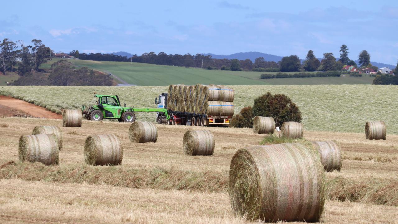 Hay bales being loaded onto a truck