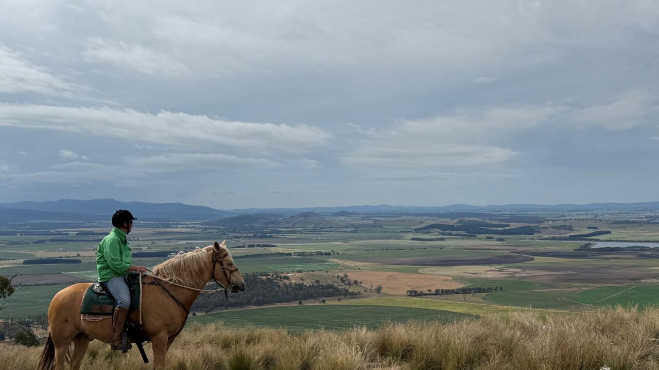 TMCA member Tracey Boon takes in the stunning view from Cressy property Billopp.