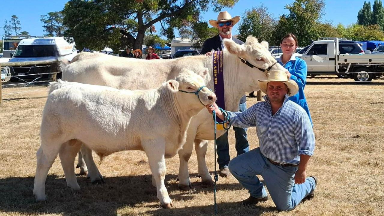 Murton Charolis won the supreme exhibit
