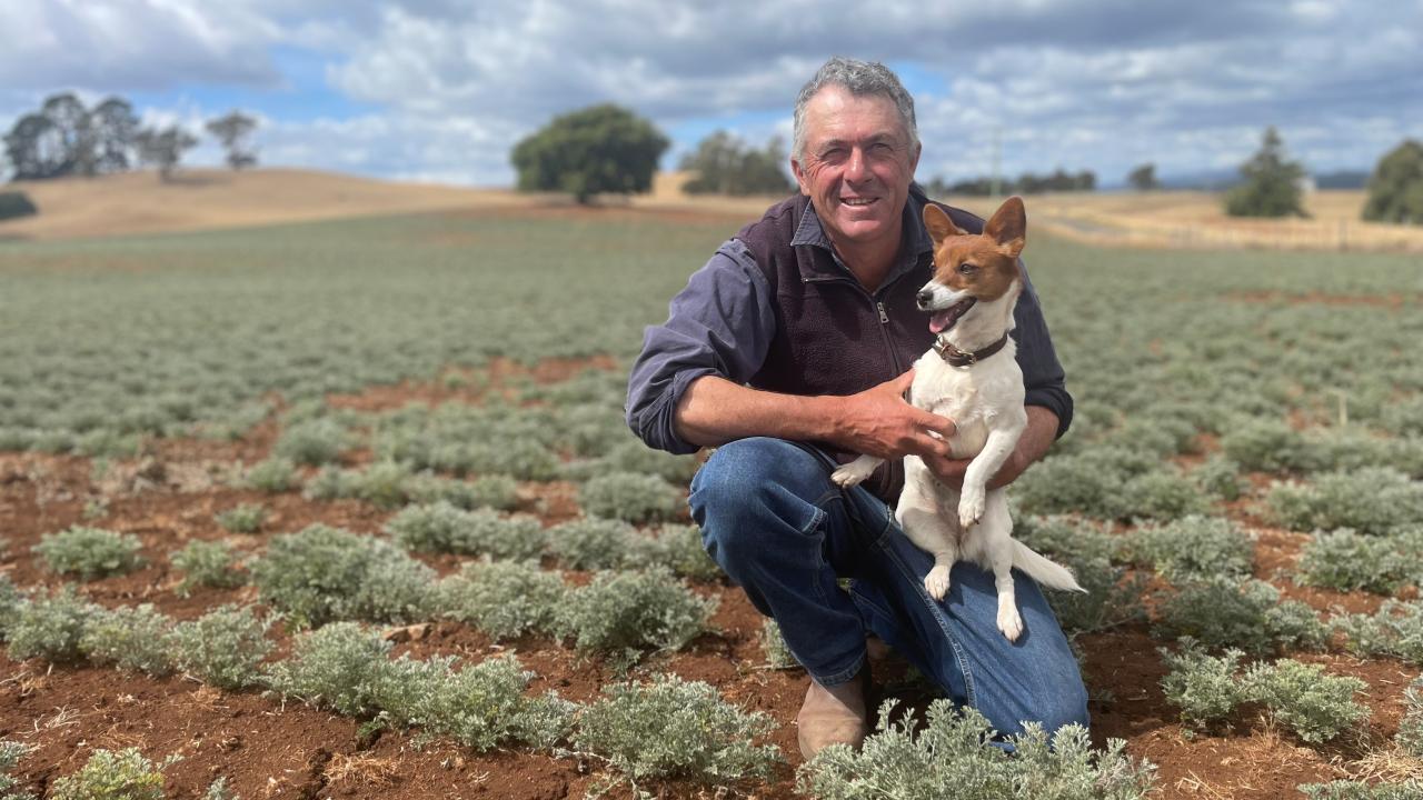 Chris Rockliff and Daisy the dog.