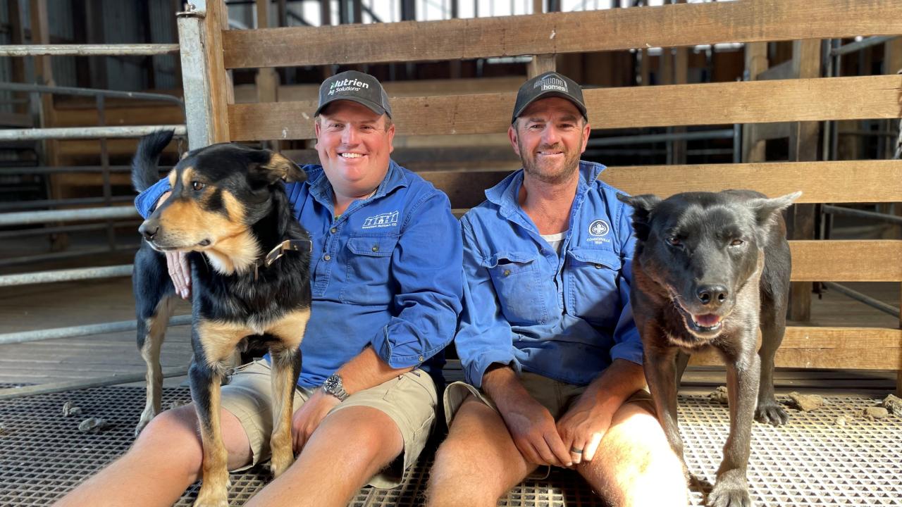 Michael and Tim Hall