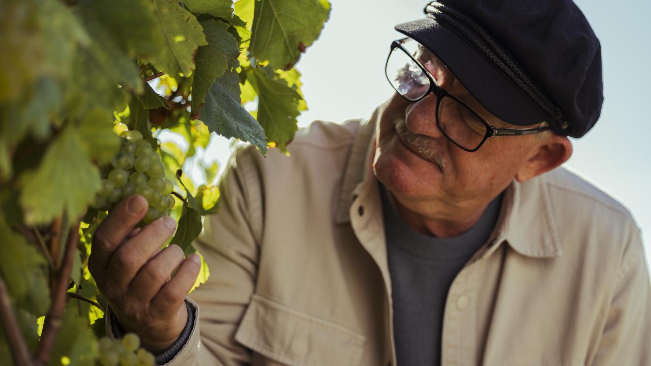 House of Arras chief winemaker Ed Carr