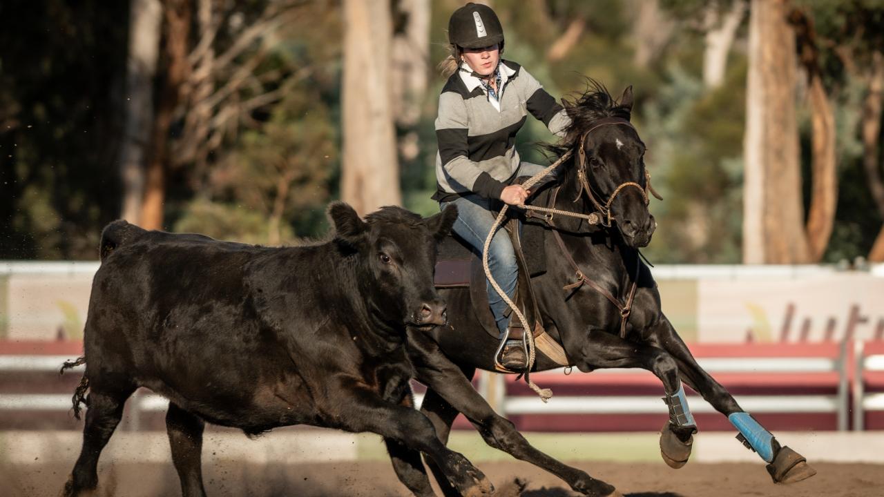 Brianna Doohan on Jetstar