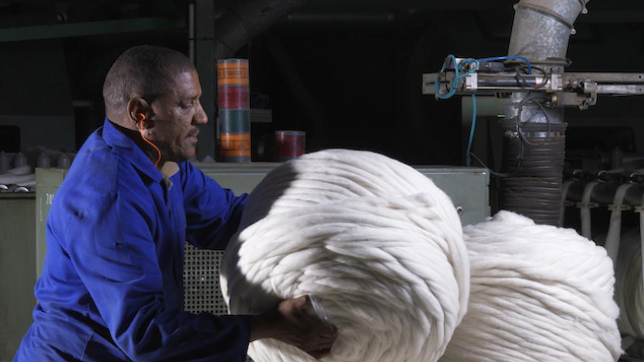 Wool handling