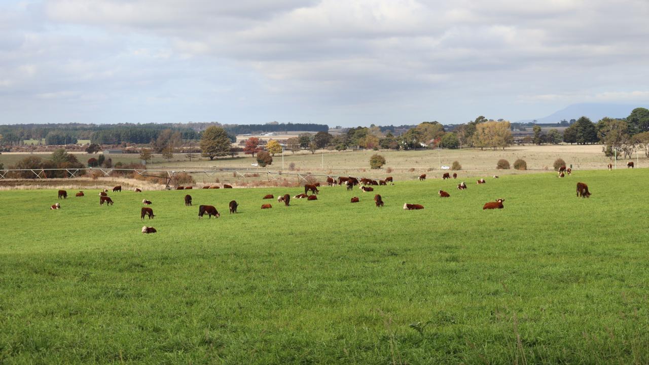 farmland