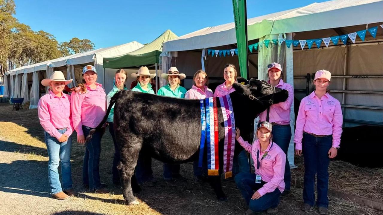 Scottsdale High cattle handling team with Supreme Beef winer Three Mile Spring