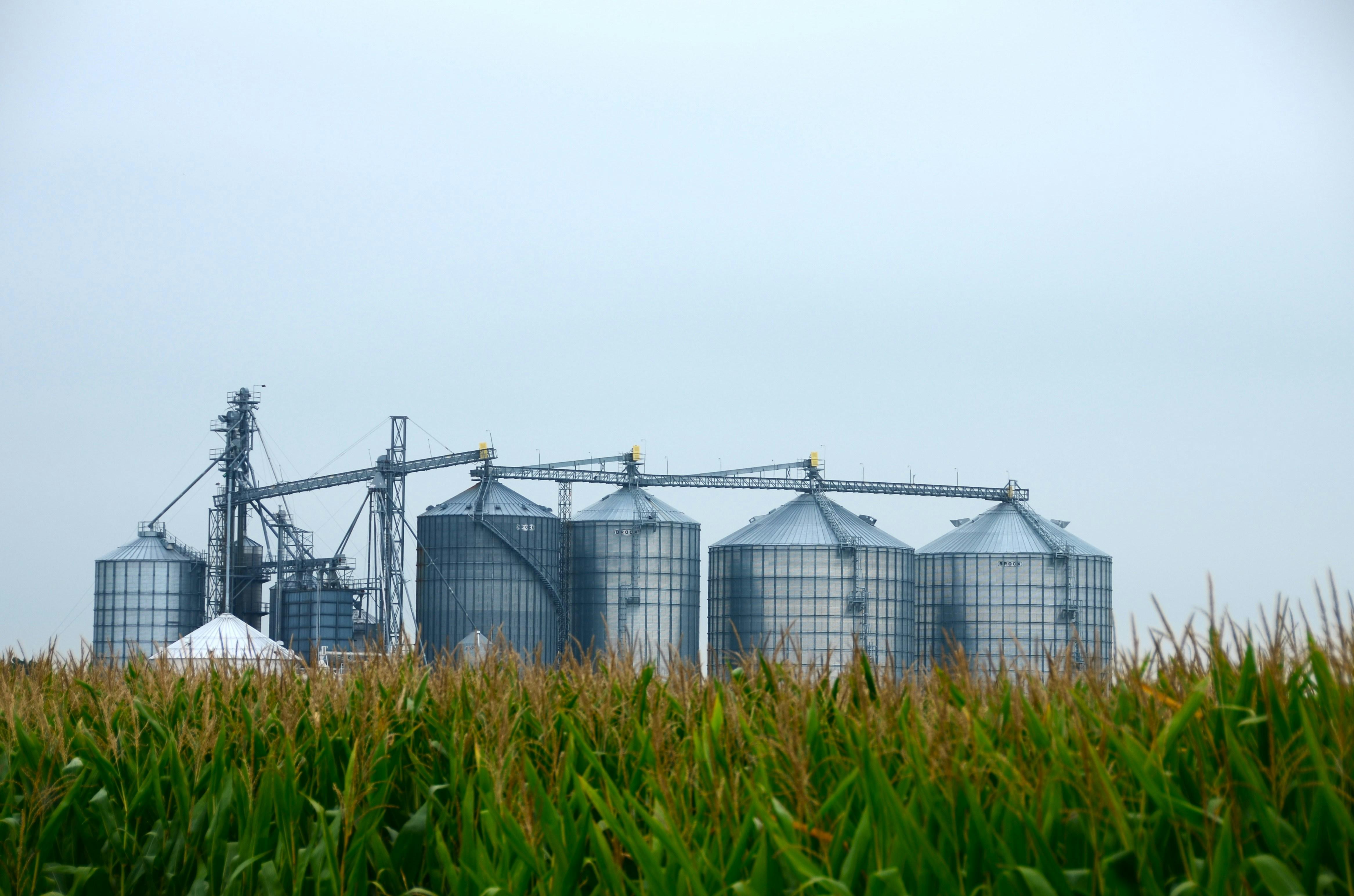 Ethanol plant