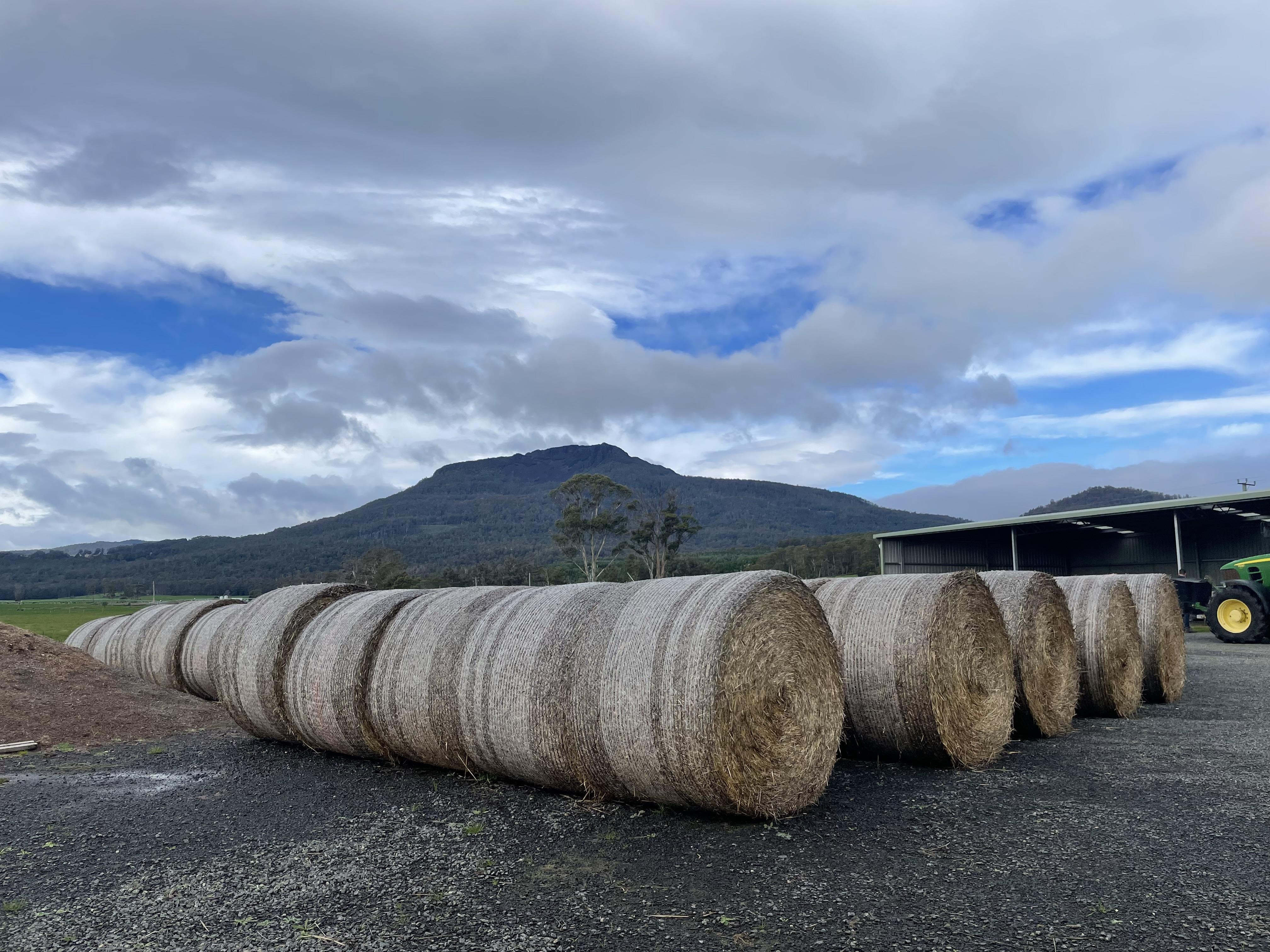 Hay bales