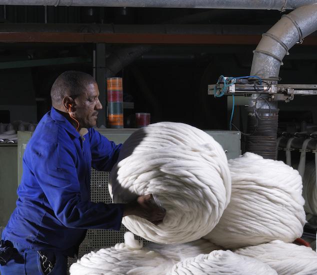 Processing wool tops