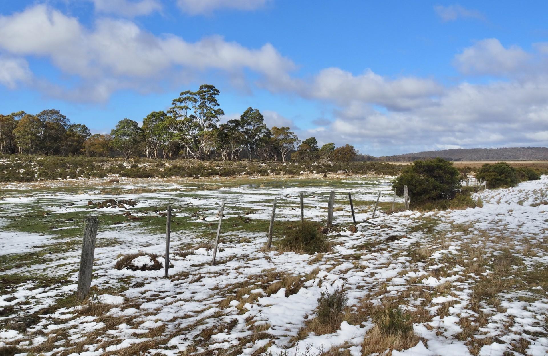 St Patricks Plains