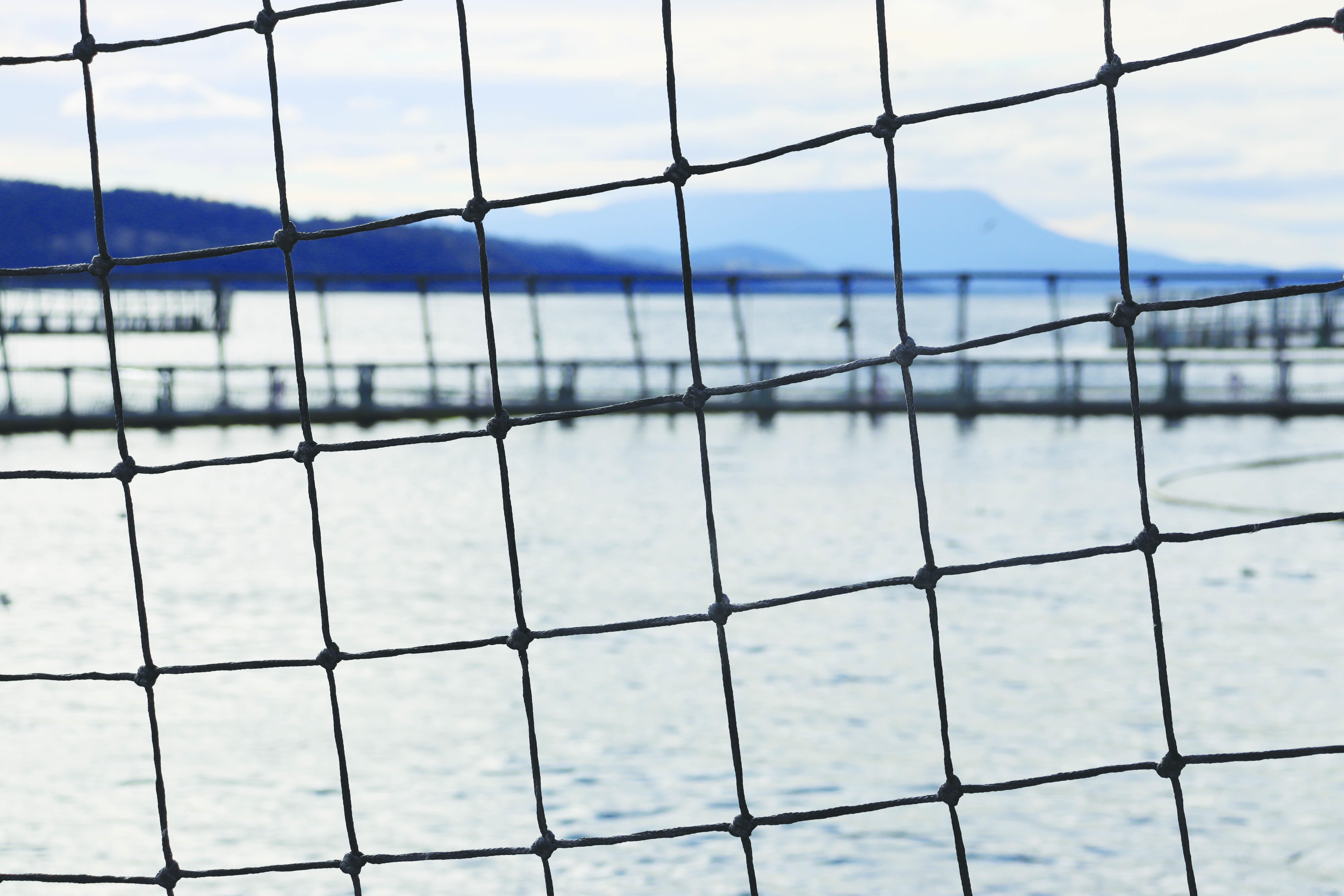 One of the salmon pens at Storm Bay