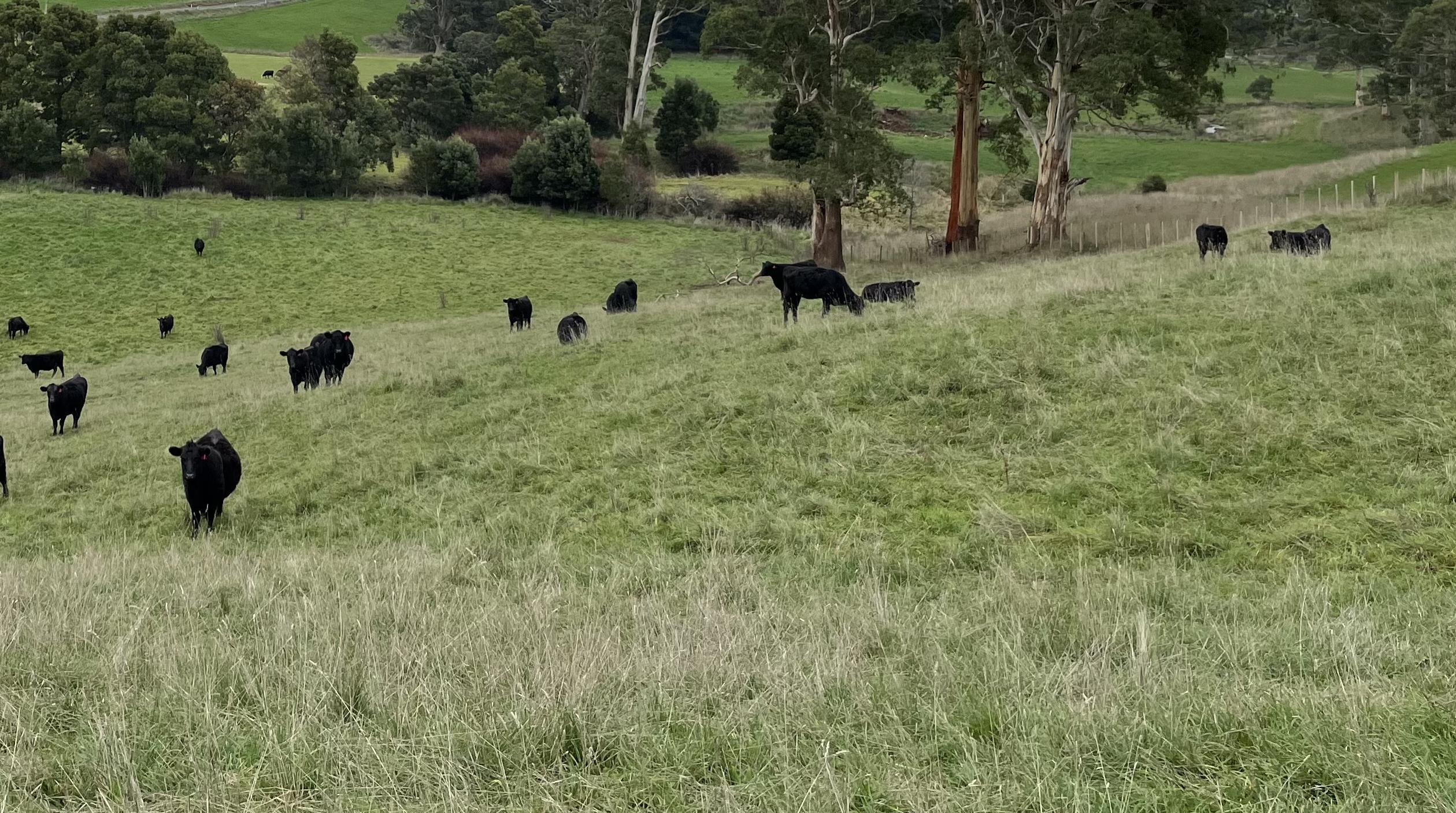 Huge rate rise for Launceston farmland