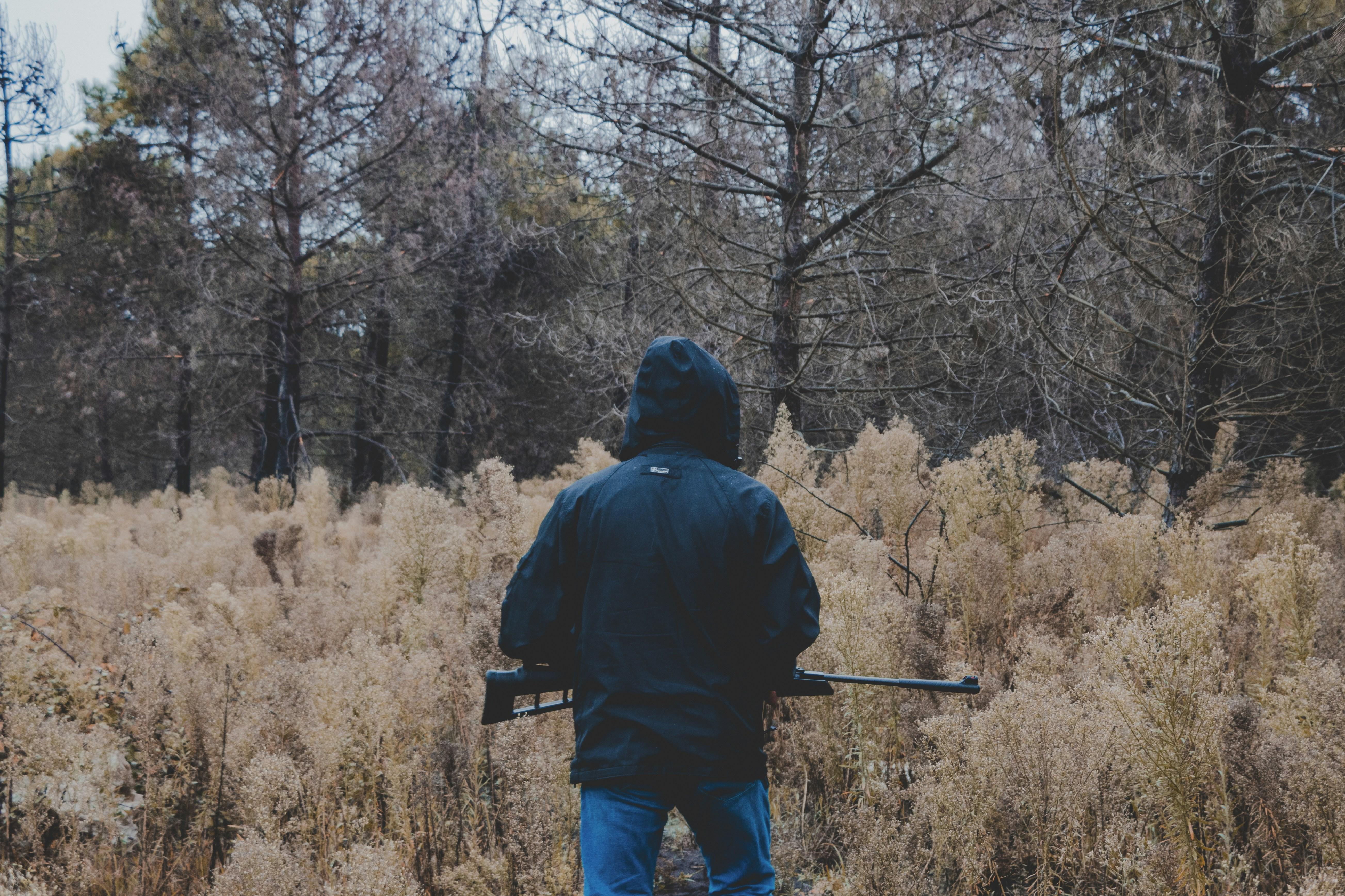 Hunting 