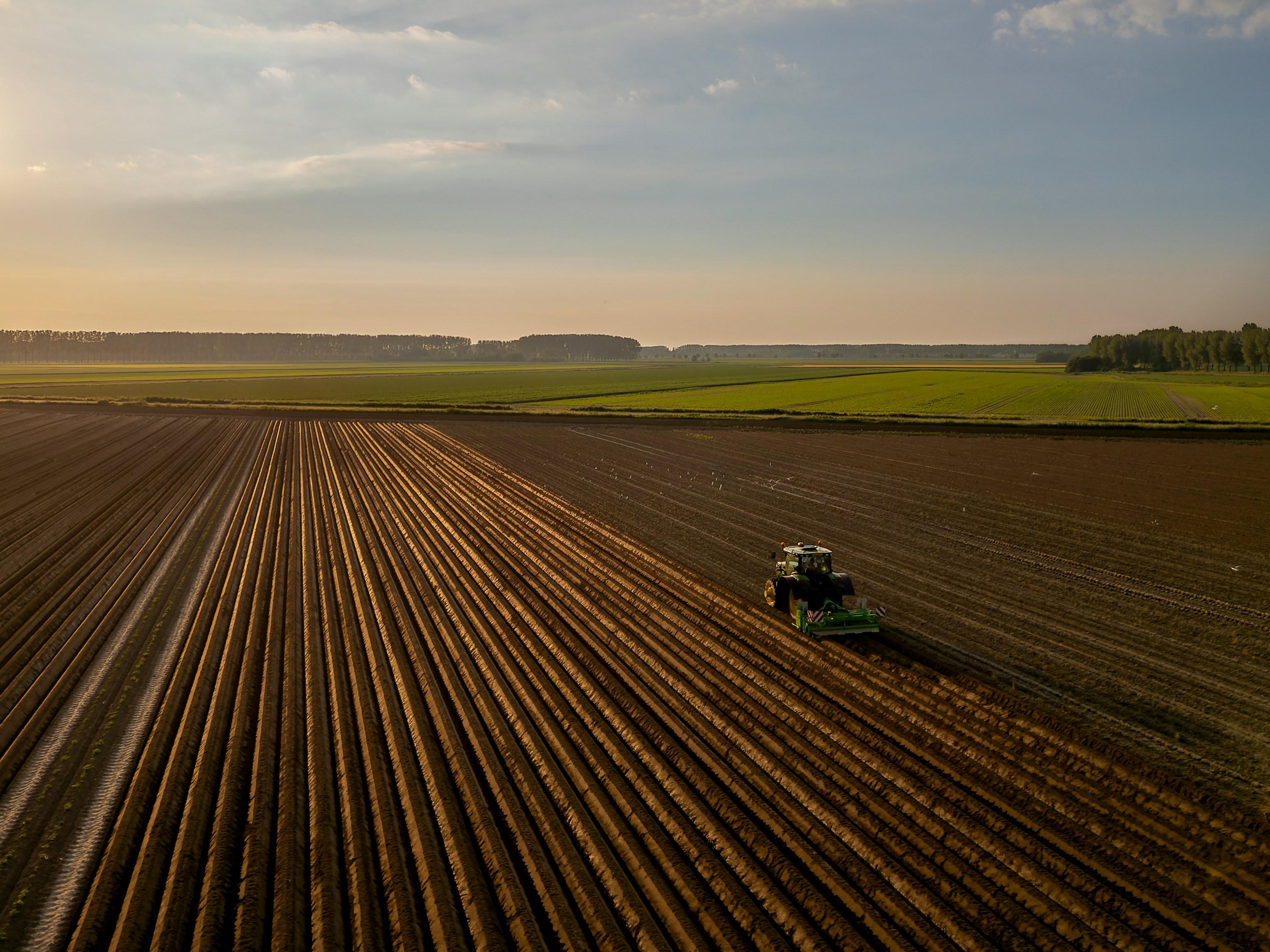A tractor in a field