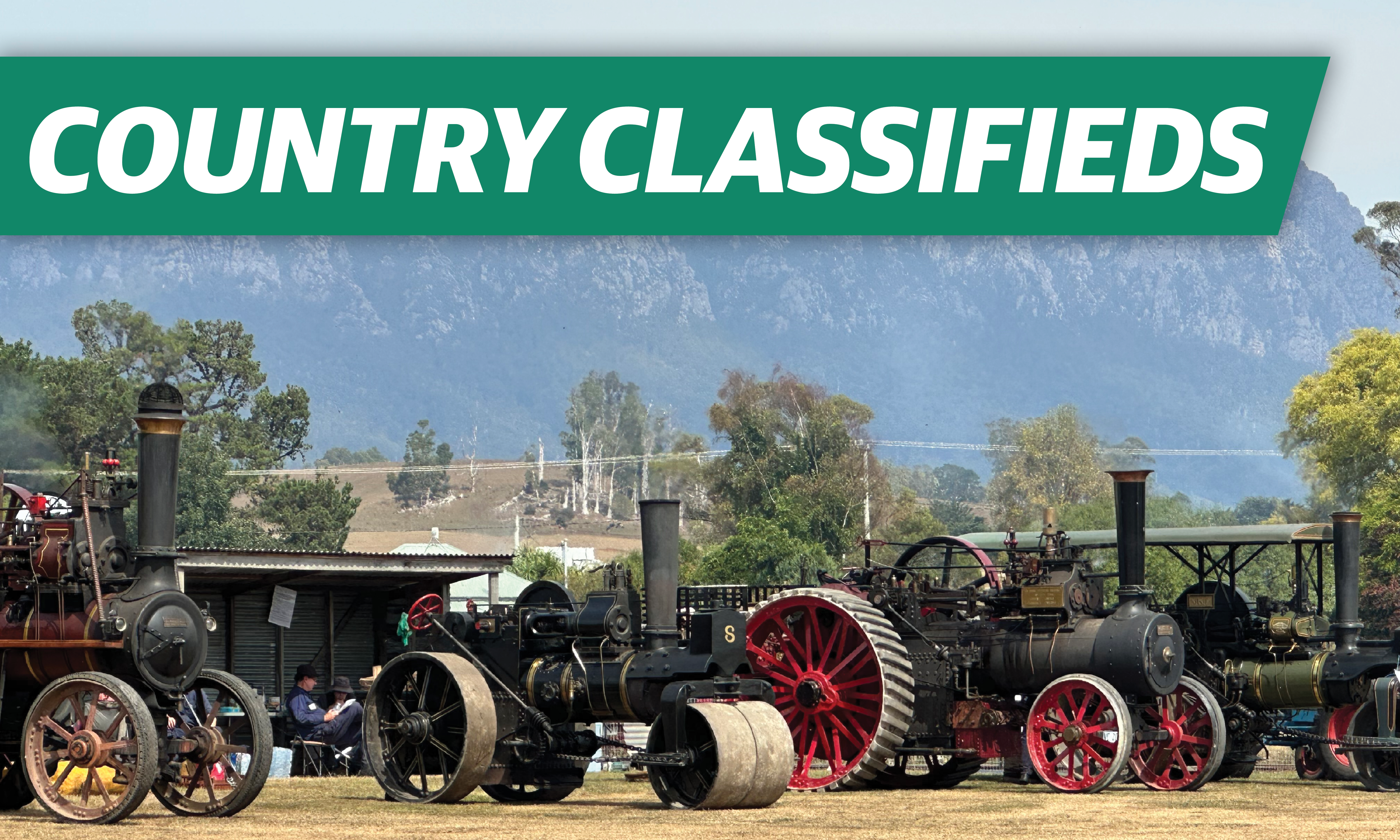 All the classifieds from this week's paper.