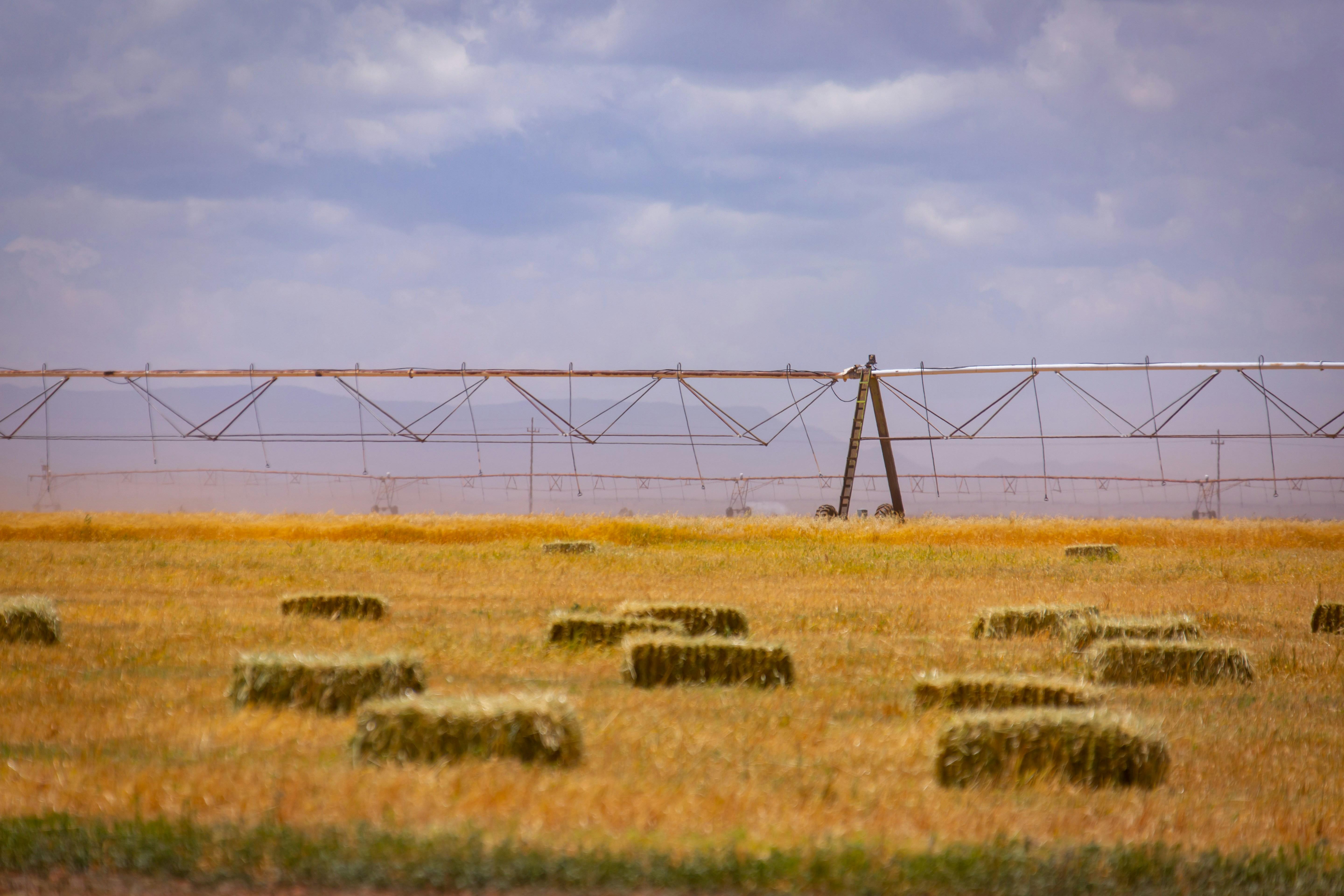 A farm
