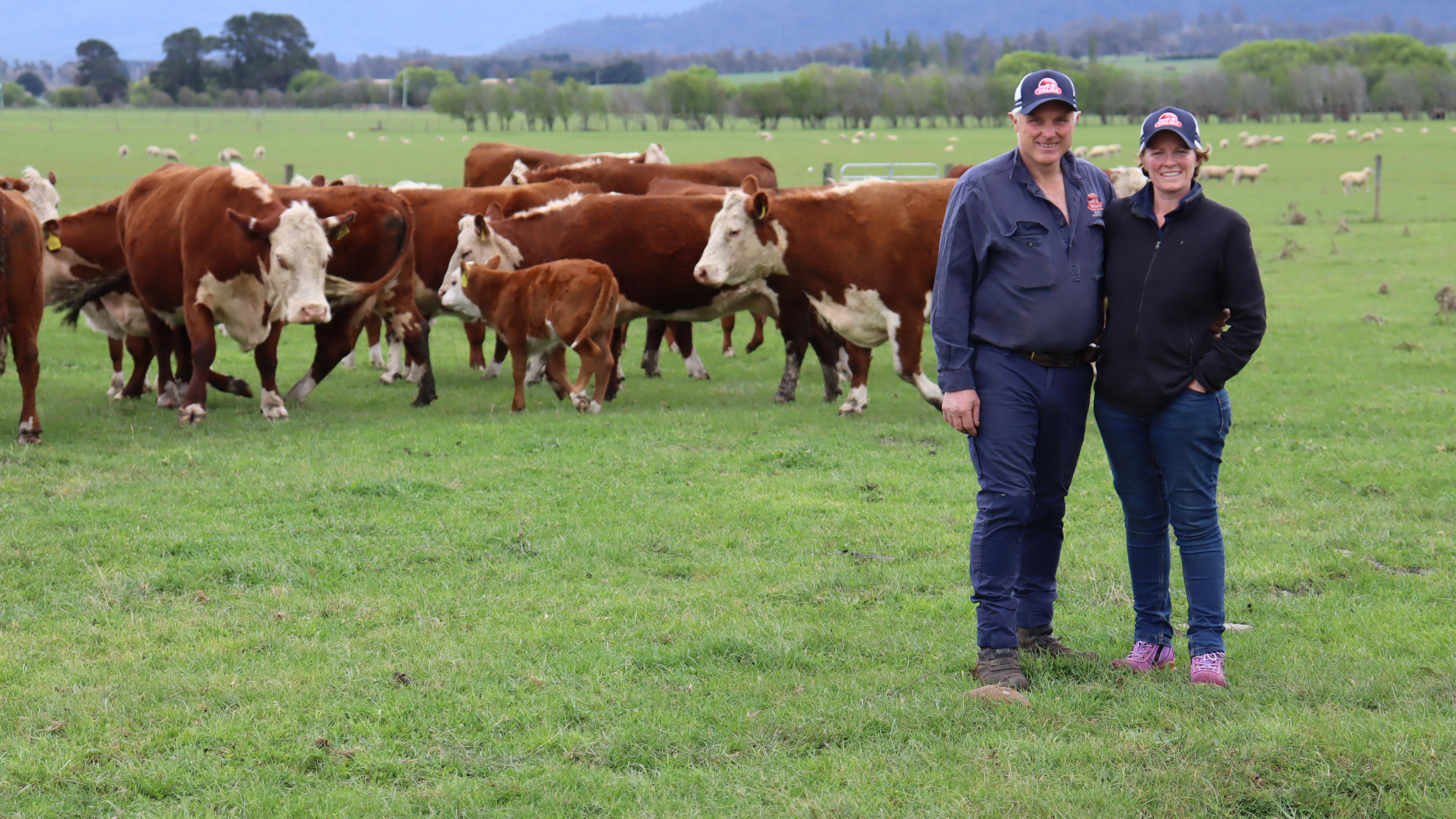 Andrew and Caroline McLauchlan on Valma Downs at Whitemore with their record-breaking Poll Hereford bull Stand Alone.