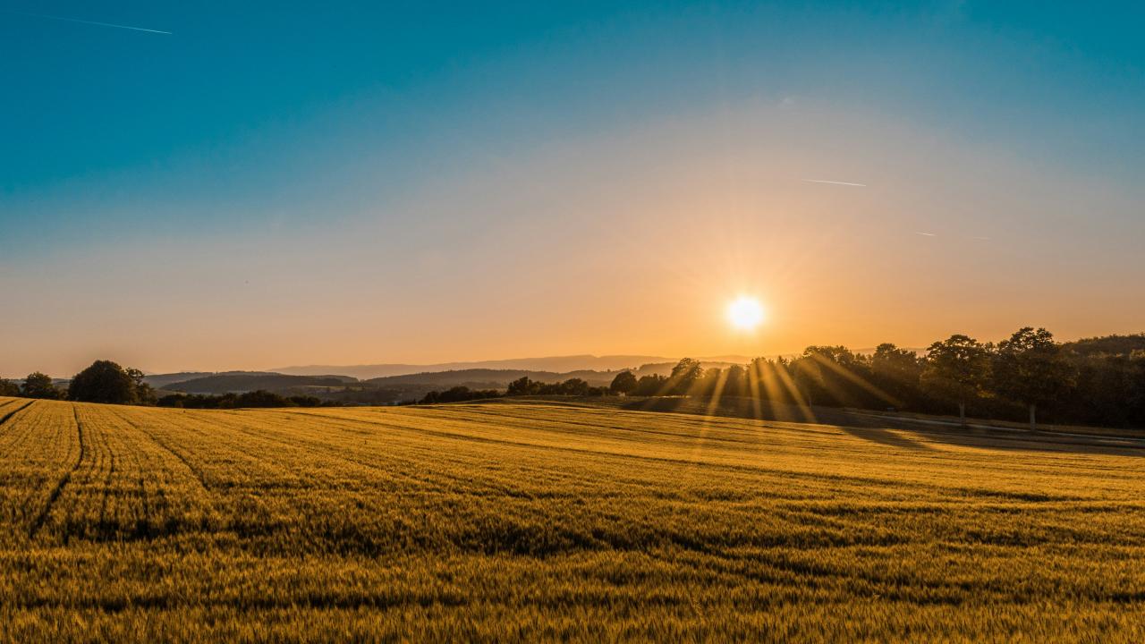 Photo by Frederico Respini Farm photo by frederico respini