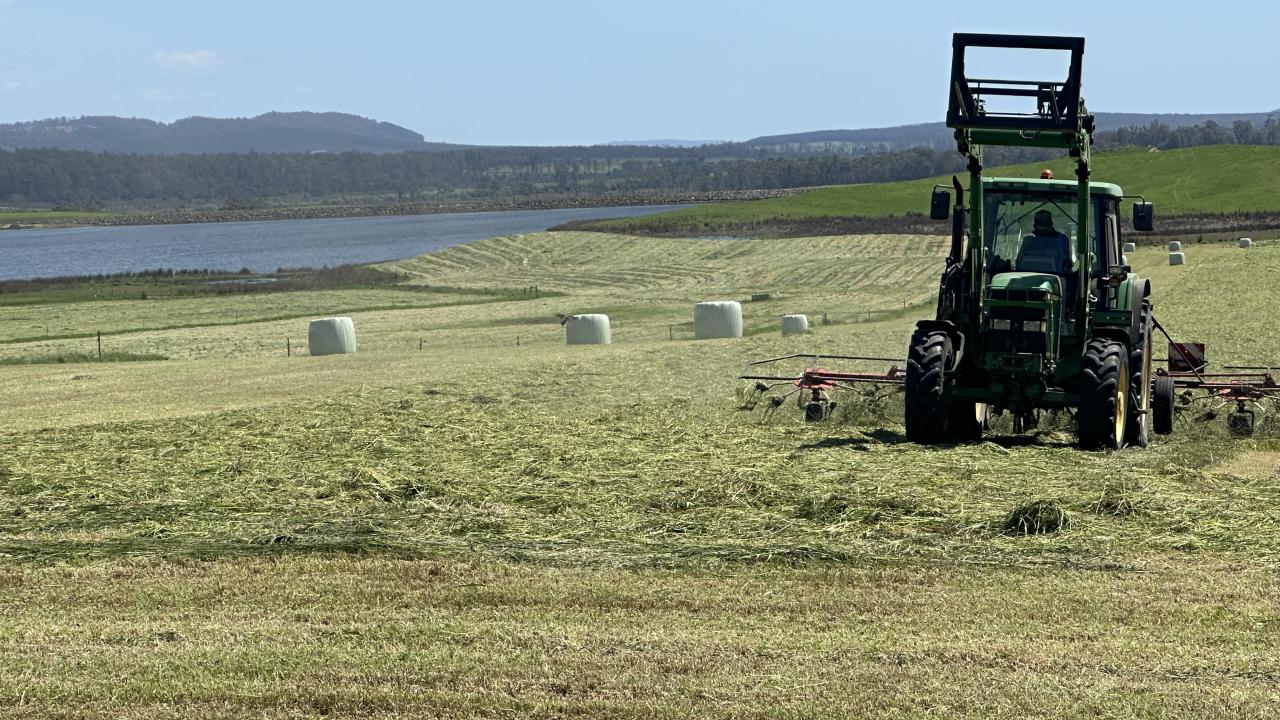 Pasture was being cut near Elizabeth Town earlier this week with farmers hoping for a good fodder season. Picture: KAROLIN MACGREGOR Pasture was being cut near Elizabeth Town earlier this week with farmers hoping for a good fodder season. Picture: KAROLIN MACGREGOR