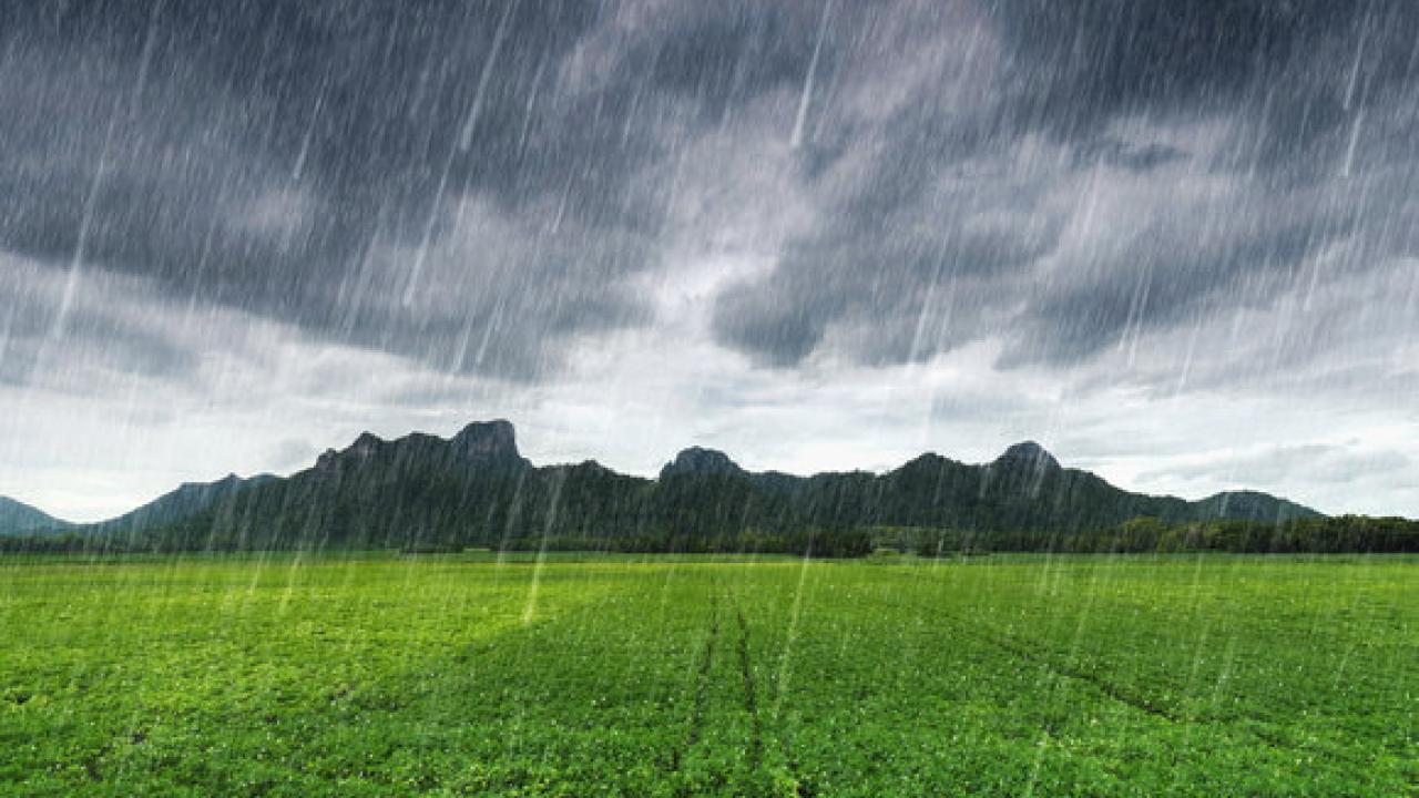 Rainfall