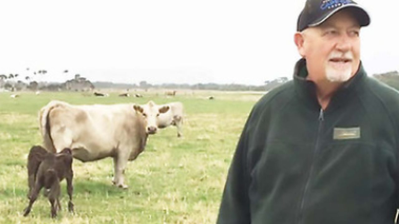 Bernard Atkins, Murray Grey breeder and livestock agent.