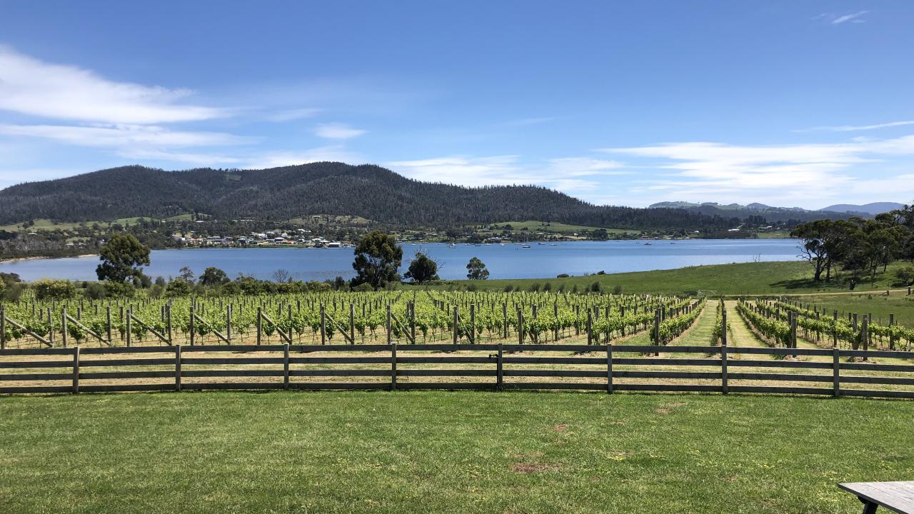 Bangor Vineyards Bangor Vineyards