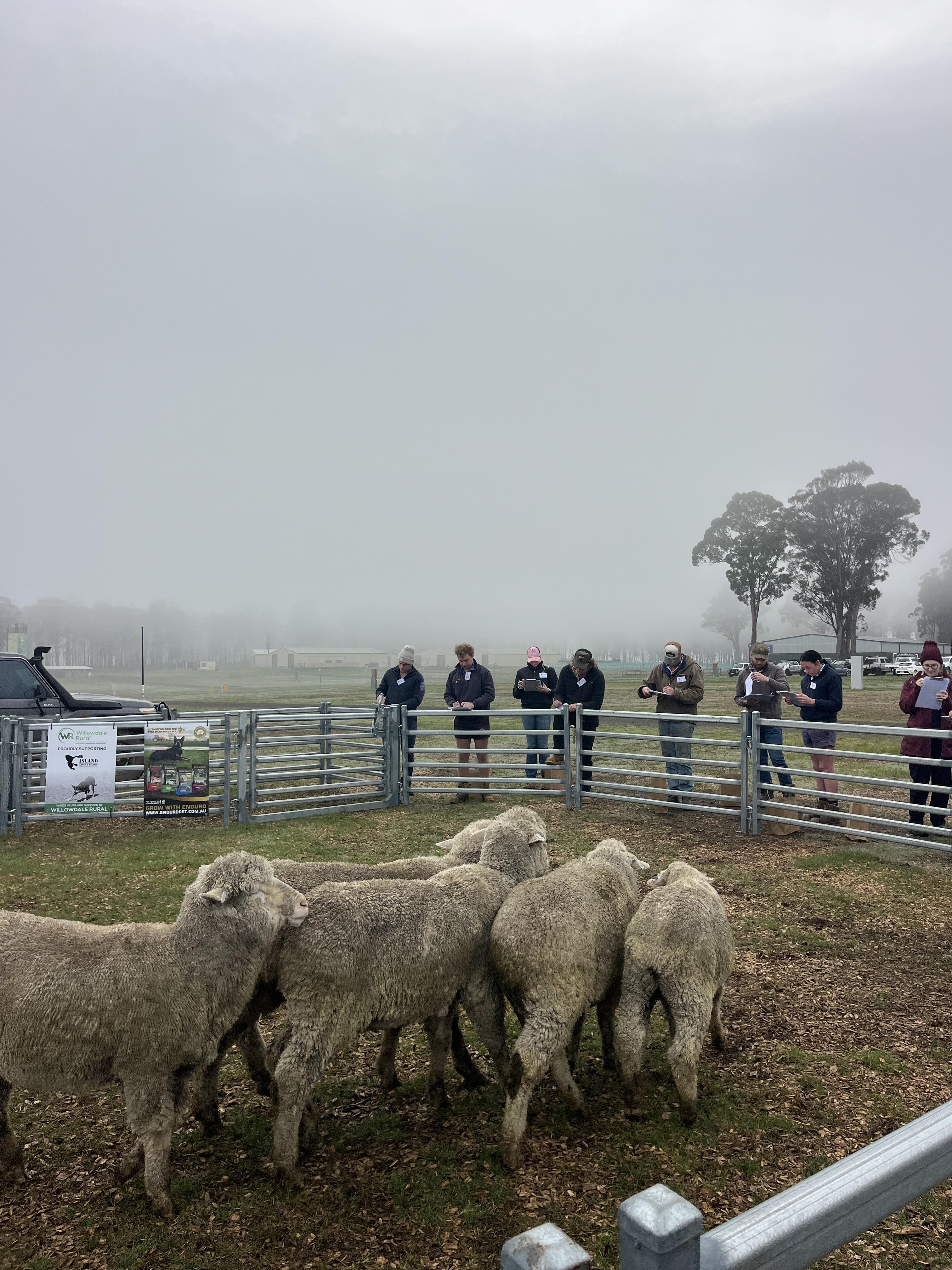 Action from the 2026 Woolworths Tasmanian Young Farmer of the Year Competition runoffs