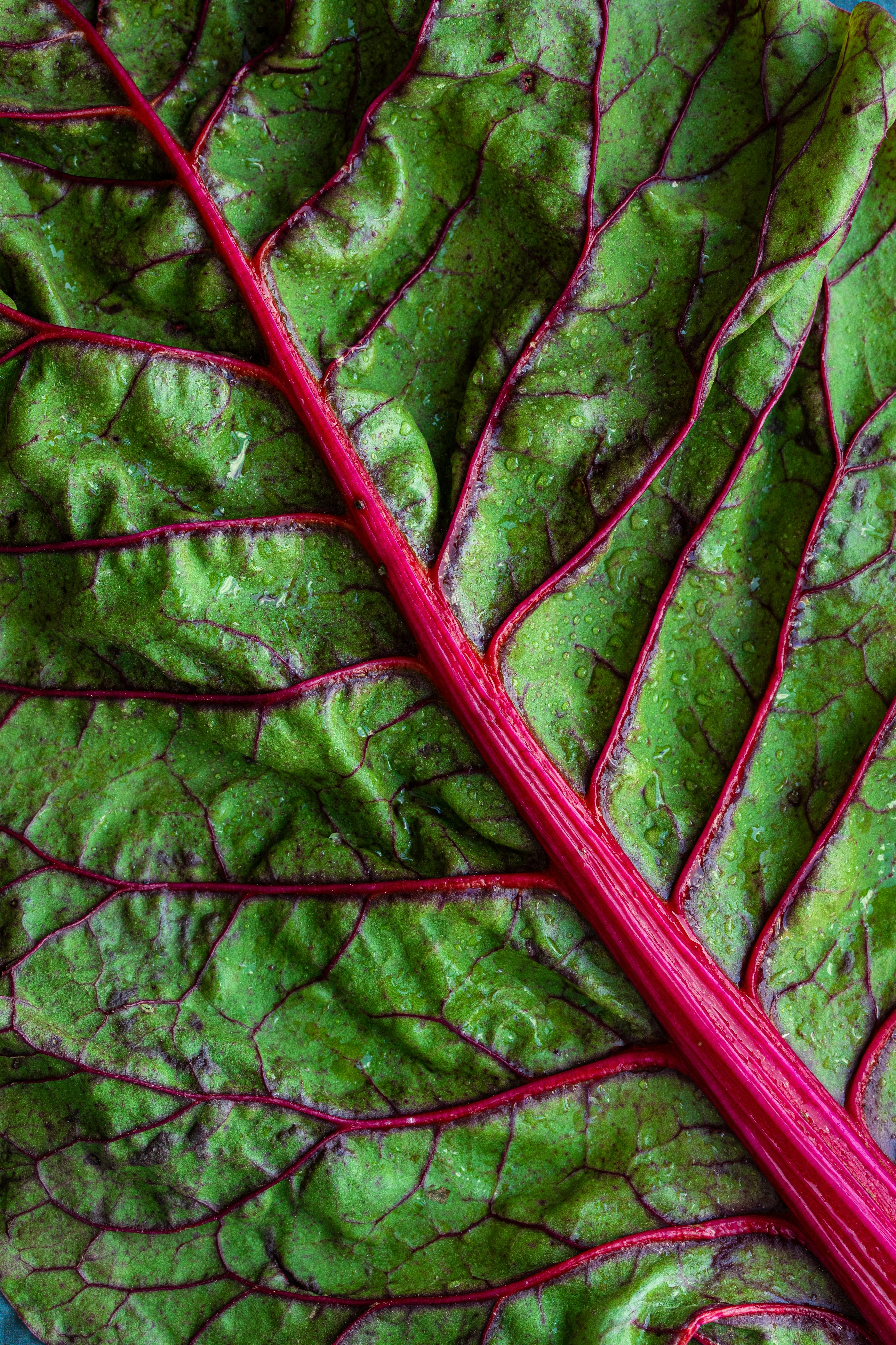 Leafy greens